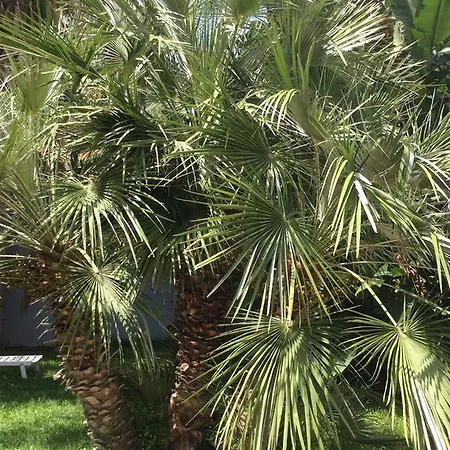 Отель Ucciardhome Палермо