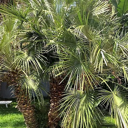 Ucciardhome Hotel