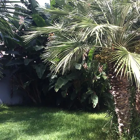 ウッチャルドーム パレルモ