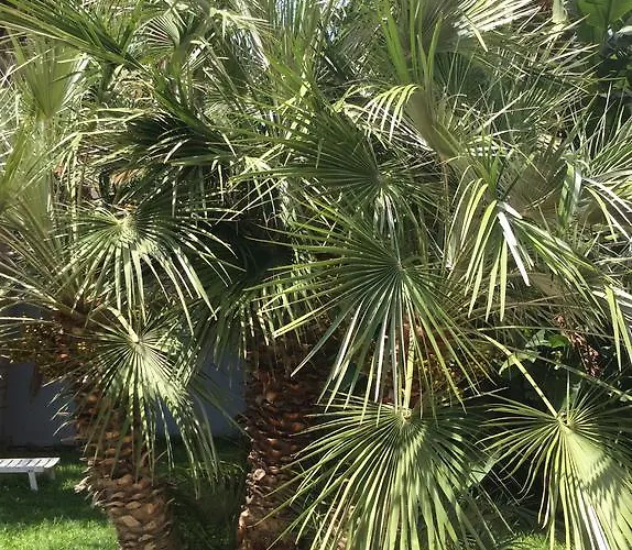 מלון Ucciardhome פלרמו