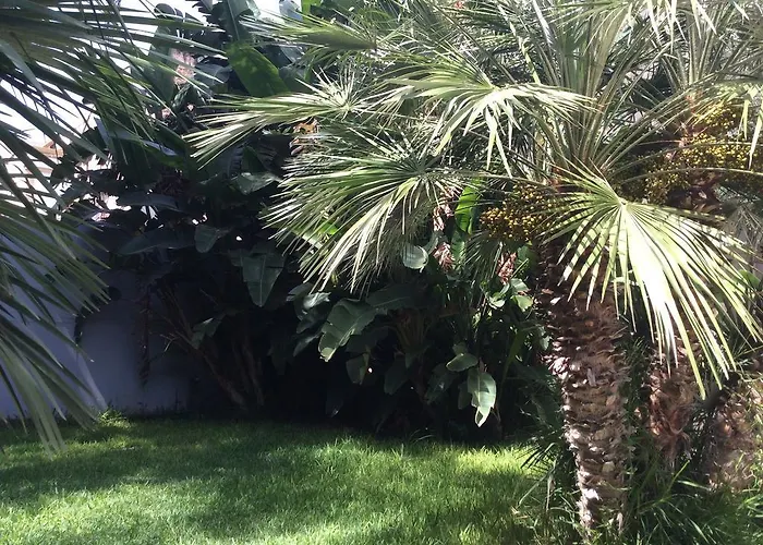 Ucciardhome פלרמו